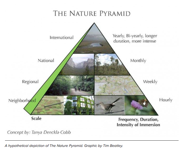 The Nature Pyramid