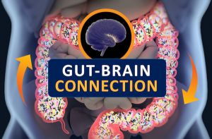 Gut Brain Connection Davis Phinney Foundation
