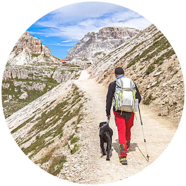 Man backpacking with walking pole and dog