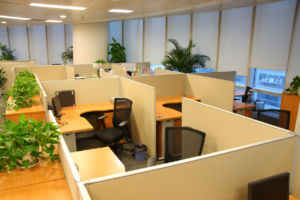 Empty cubicles in office building