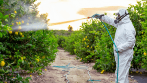 Agriculture worker wearing gas mask spraying crops