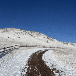 A snowy hillside and a curving gravel path family