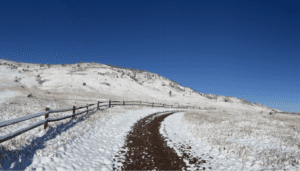 A snowy hillside and a curving gravel path family