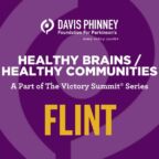 VS-Flint-image