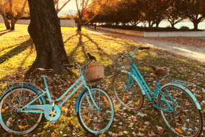 Bikes at sunset