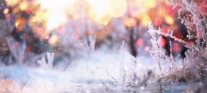 Winter sunrise